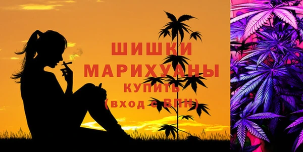 винт Бородино