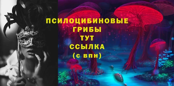 крисы Бронницы
