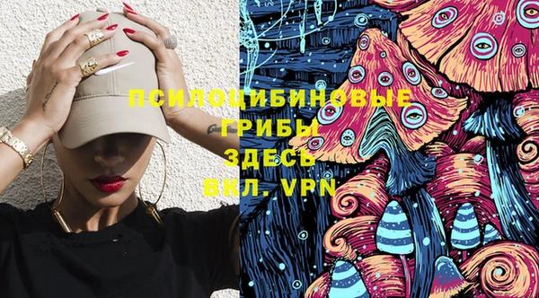 винт Бородино