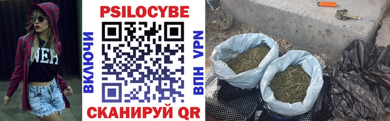 Купить где  Данков  Псилоцибиновые грибы Psilocybine cubensis 